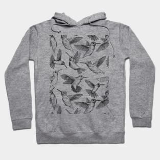 Hummingbirds Hoodie